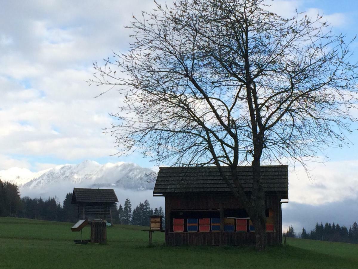 Ferienwohnung Lassendorf ヘルマゴル エクステリア 写真